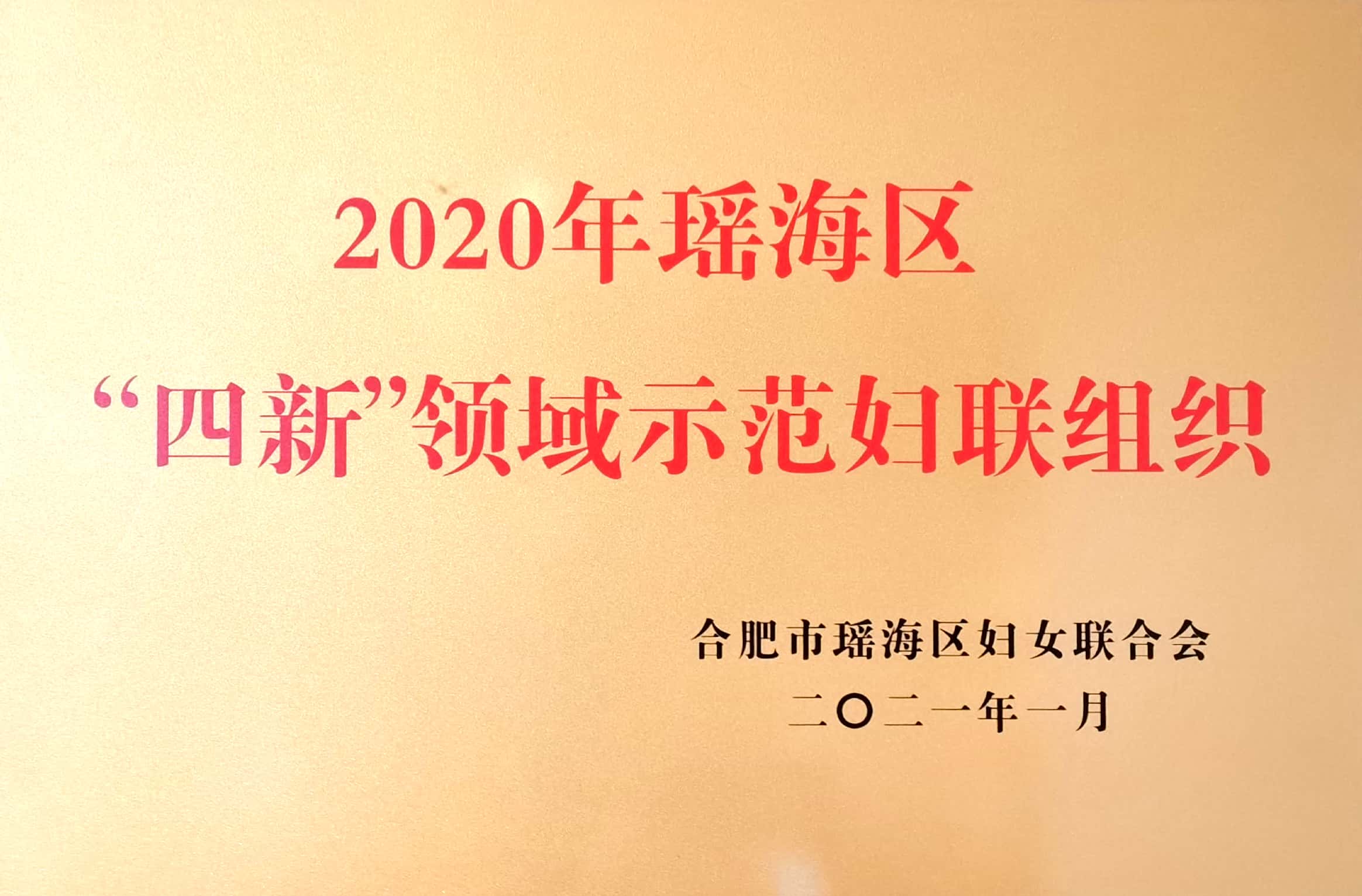 “四新”領域示范婦聯組織